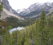 Montana 09 349
